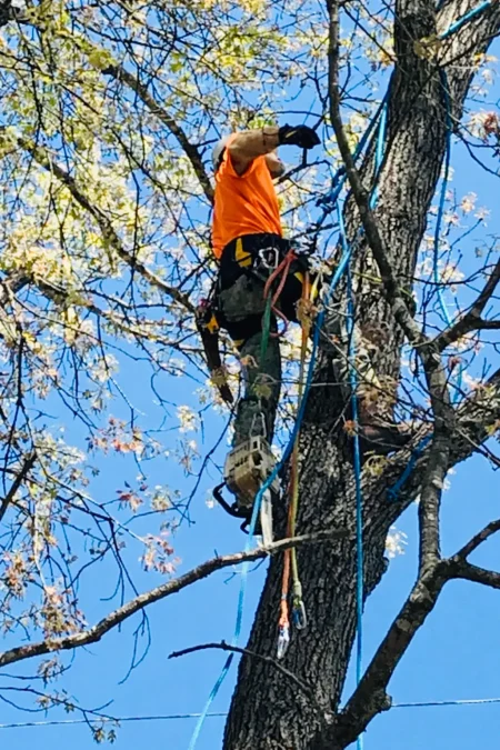 Website pic climber close up orange shirt
